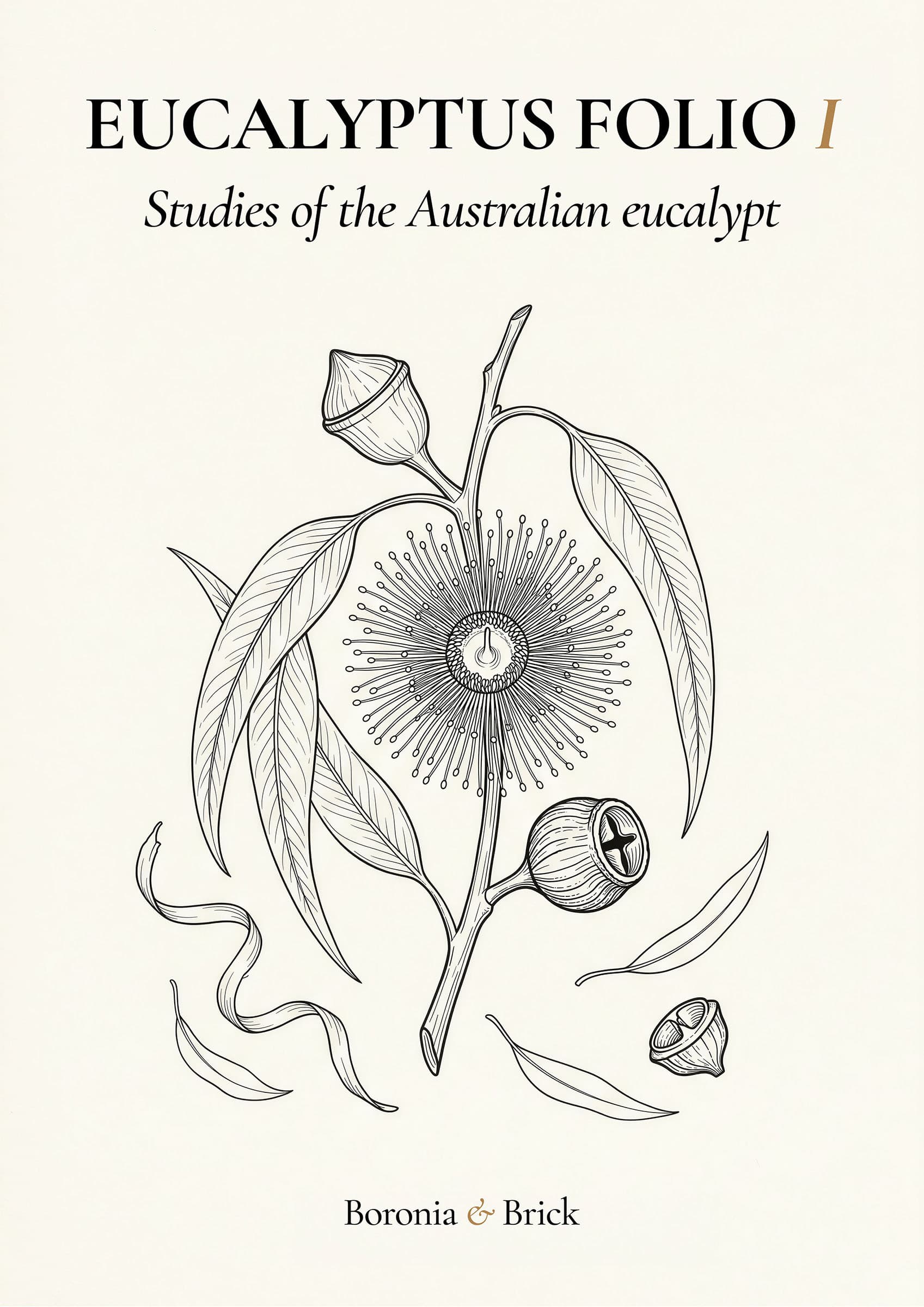 Eucalyptus Folio cover — Australian eucalypt botanical study colouring monograph from Boronia & Brick