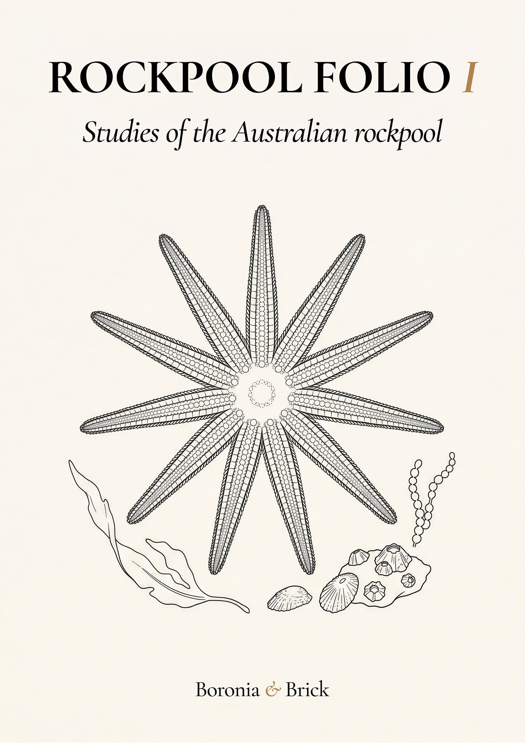 Rockpool Folio cover — Australian rockpool specimen study colouring monograph from Boronia & Brick