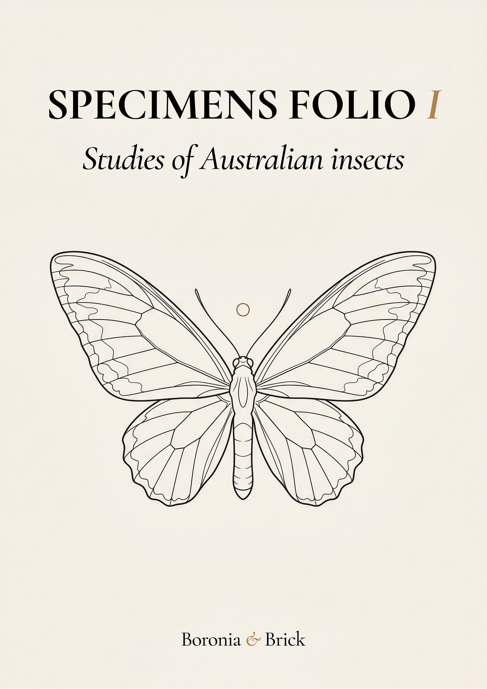 Specimens Folio cover — Australian natural specimen study colouring monograph from Boronia & Brick