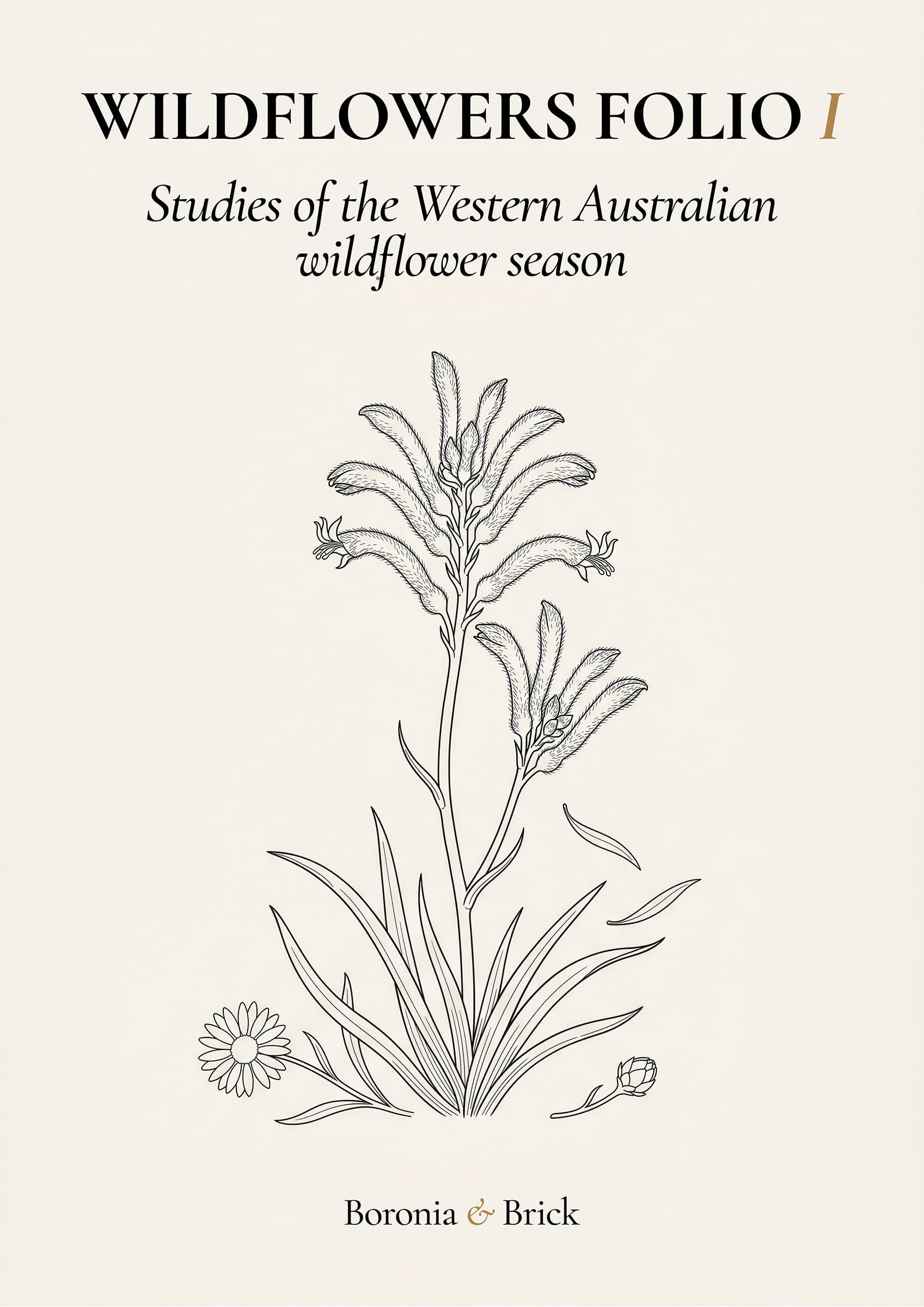 Wildflowers Folio cover — Australian wildflower botanical study colouring monograph from Boronia & Brick